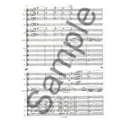 Eug&egrave;ne Goossens: Concerto en 1 Mouvement Op.45 (Oboe & Orchestra)