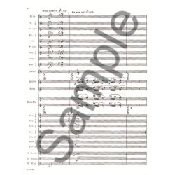 Olivier Messiaen: Des Canyons aux Etoiles Vol.1 (Piano & Orchestra)