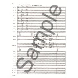 Olivier Messiaen: Des Canyons aux Etoiles Vol.1 (Piano & Orchestra)