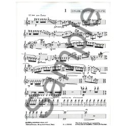 Henri Druart: Evolutions (Clarinet solo)