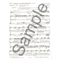 Musiques A Chanter Cycle 2 Niveau Moyen/Volume 5 (Mozart A Strauss)