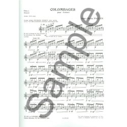 Jean-Marie Pallen: Colombages (Guitar solo)