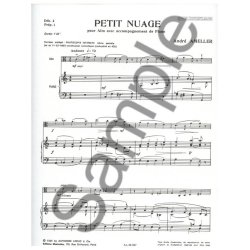 Andr&eacute; Amell&eacute;r: Petit Nuage Op.308 (Viola & Piano)