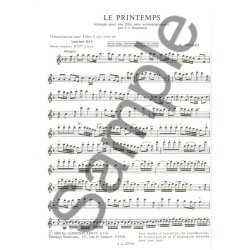 Antonio Vivaldi: 'Spring' in E major arranged  for Alto Recorder Solo