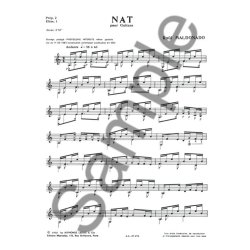 Ra&ugrave;l Maldonado: Nat (Guitar solo)