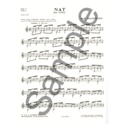 Ra&ugrave;l Maldonado: Nat (Guitar solo)