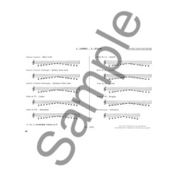 Emmanuel S&eacute;journ&eacute;: Les Claviers de Percussion Vol.2 (Percussion solo)