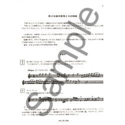 Veilhan Les Regles De L'interpretation Musicale A L'epoque Baroque Jap