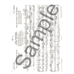 Johann Sebastian Bach: Organ Works Vol.7 (Organ)