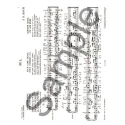 Johann Sebastian Bach: Organ Works Vol.12 (Organ)