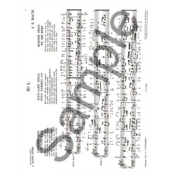 Johann Sebastian Bach: Organ Works Vol.12 (Organ)