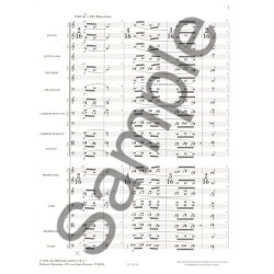 Olivier Messiaen: Eclairs sur l'Au-del&agrave; Vol.1 (Orchestra)