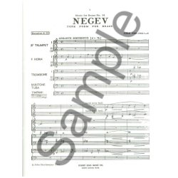 John Hartmeyer: Negev (Ensemble-Brass 8 or more)