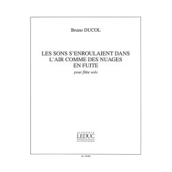 Bruno Ducol: Les Sons s'enroulaient dans l'Air... (Flute solo)
