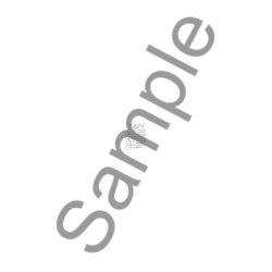 J.S. Bach: Violin Sonatas & Partitas arr. for Treble Recorder Solo - Volume 1