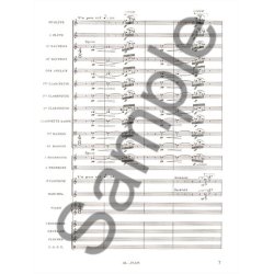 Olivier Messiaen: Trait&eacute; de Rythme, de Couleur, et d'Ornithologie Vol.5/2 (Book)