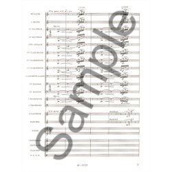 Olivier Messiaen: Trait&eacute; de Rythme, de Couleur, et d'Ornithologie Vol.5/2 (Book)