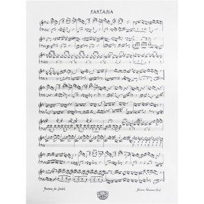 Fantasia Piano Poster