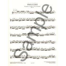 Exercitium Preludes Fantasies Toccatas Tre Rec S