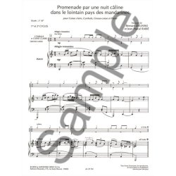 Bernard & Jean-Pascal Zielinski B.& Rabi&eacute;: Promenade pour une Nuit c&acirc;line... (Percussion(s) & Piano)