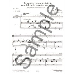 Bernard & Jean-Pascal Zielinski B.& Rabi&eacute;: Promenade pour une Nuit c&acirc;line... (Percussion(s) & Piano)