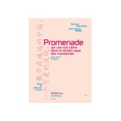 Bernard & Jean-Pascal Zielinski B.& Rabi&eacute;: Promenade pour une Nuit c&acirc;line... (Violin & Piano)