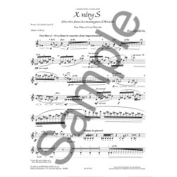 Ledeuil Eric X Niry S Flute In C Or Alto Flute Book