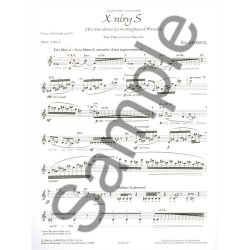 Ledeuil Eric X Niry S Flute In C Or Alto Flute Book