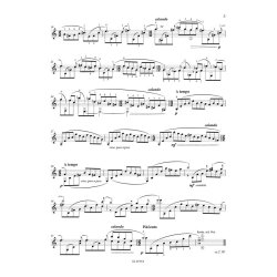 S&eacute;r&eacute;nade M&eacute;lancolique