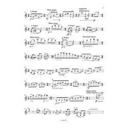 Sonate-M&eacute;ditation for Solo Violin Op.106a