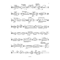 Sonate-M&eacute;ditation for Solo Viola Op.106b