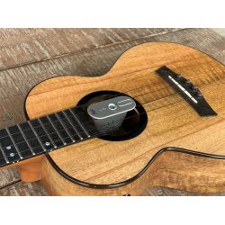 Ukulele Humidifier - Silver