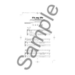 Play Along Guitar Audio CD: Bon Jovi