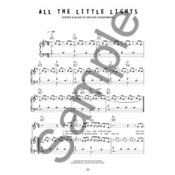 Passenger: All The Little Lights
