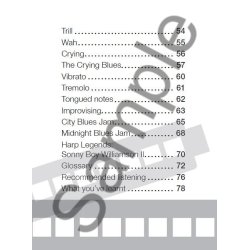 Playbook: Learn To Play Harmonica - A Handy Beginner's Guide