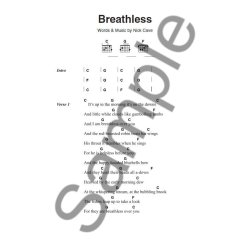 The Little Black Book Of 3 Chord Songs