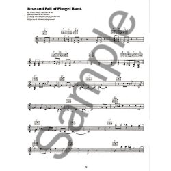 Big Hits Of The Shadows