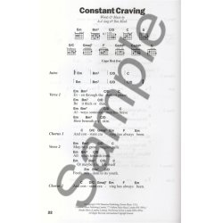 The Big Acoustic Guitar Chord Songbook (Platinum Edition)