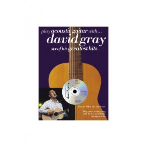 Play Acoustic Guitar With... David Gray