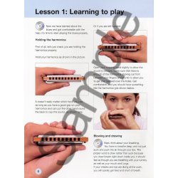 Starting Blues Harmonica