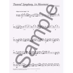 Bravo!: Playalong Symphonic Themes (Cello)