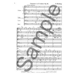 Oskar Rieding: Concerto In B Minor Op. 35