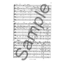 Oskar Rieding: Concerto In B Minor Op. 35