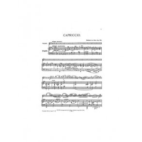 Willem Ten Have: Capriccio Op.24