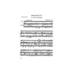 Friedrich Seitz: Concerto Op. 22