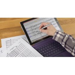 Sibelius Artist Perpertual License w/Upgrade: Boxed