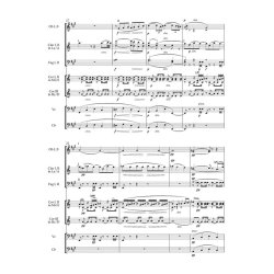 Serenade - Dvor&aacute;k, Anton&iacute;n