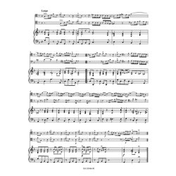 Concerto for two Violoncellos in G minor RV 531