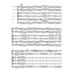 Concerto for two Violoncellos in G minor RV 531