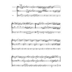 Concerto for two Violoncellos in G minor RV 531